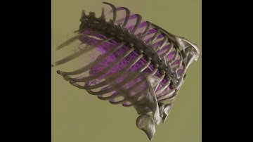 Modeling COVID-19 Data for Development Purposes on vSphere with NVIDIA GPUs