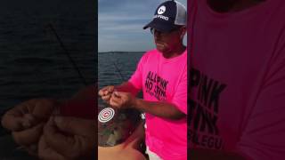 "How I use Catfish Bubblegum to catch catfish" By Bradley Doyle