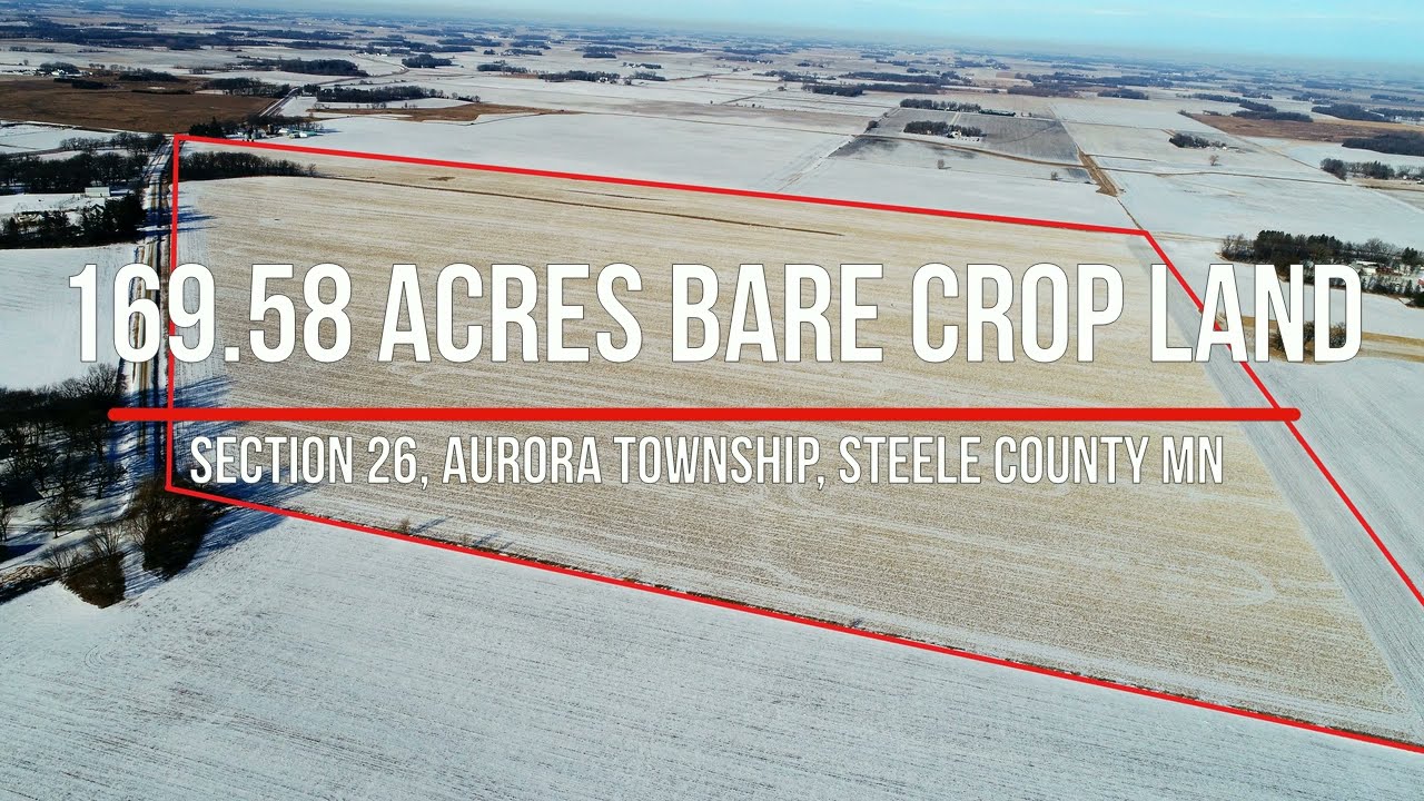 169.58 Acres of Bare Crop Land Selling At Auction In Steele County, MN