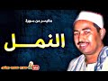 محمد محمود الطبلاوى النمــــل فى ذكـرى وفـاة المنشـاوى عام 1980م جودة عالية 