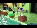 7-31-14 A diving