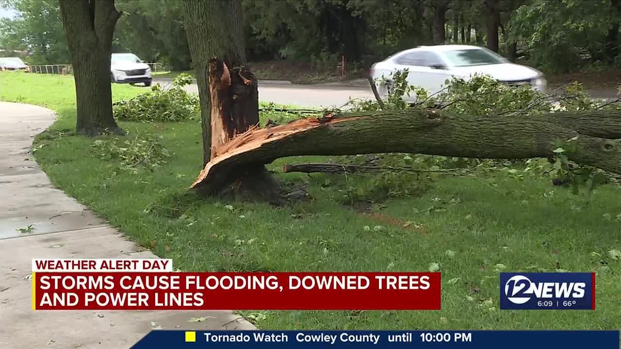 Storms cause flooding, downed trees and power lines in Maize Tuesday ...