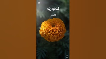 القران الكريم بصوت محمد صديق المنشاوي