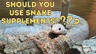 Snake Supplements 101