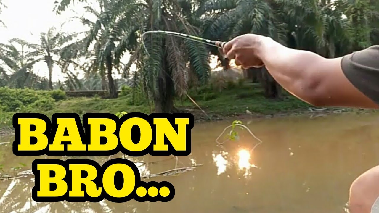 mancing wader di air keruh menggunakan umpan tempe tetap mantap