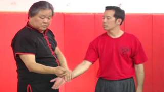Douglas L. Wong'S Combat White Lotus Kung-Fu - Youtube