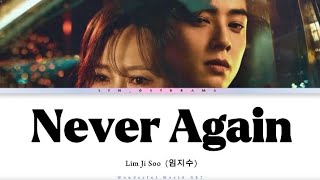 Lim Ji Soo – Never Again [Wonderful World OST] (Color Coded Han_Rom_Eng)Lyrics Video || lyn_ostdrama