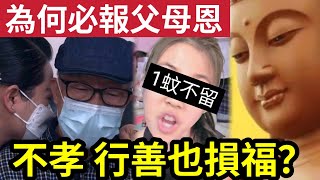 #佛禪 不孝最大罪！東張阿伯「子女算不孝？」為何人間「必須報父母恩？」明白了你就知道「不念親恩」行善也積不了福... #母親節 #伍間娛樂 #李龍基#tvb#爺孫戀#東張西望#王青霞