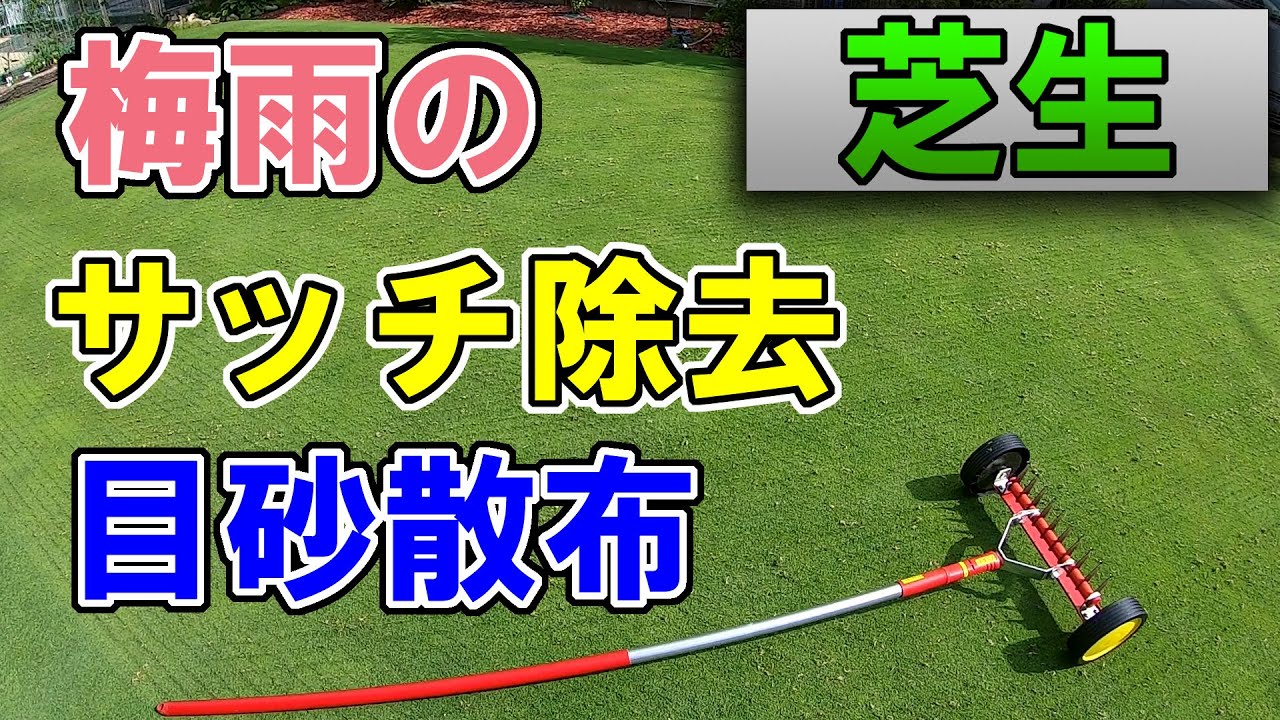 芝生 梅雨のサッチ除去 目砂散布 病害予防 Youtube