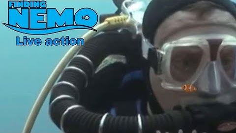Buscando a Nemo Live action/ parte 4