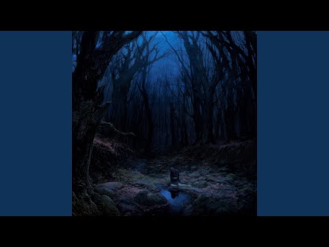 Torn Beyond Reason (Remastered)