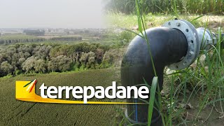 Terrepadane - La Subirrigazione Sdi Nel Mais