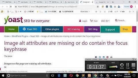 WordPress Theme  Development (post, single php,search php,archive php,category php)