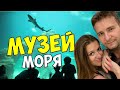 КУШАЕМ С ВИДОМ НА МОРЕ, ПЕНСИИ В ИСПАНИИ, МОРСКОЙ МУЗЕЙ В САНТАНДЕРЕ. КАНТАБРИЯ