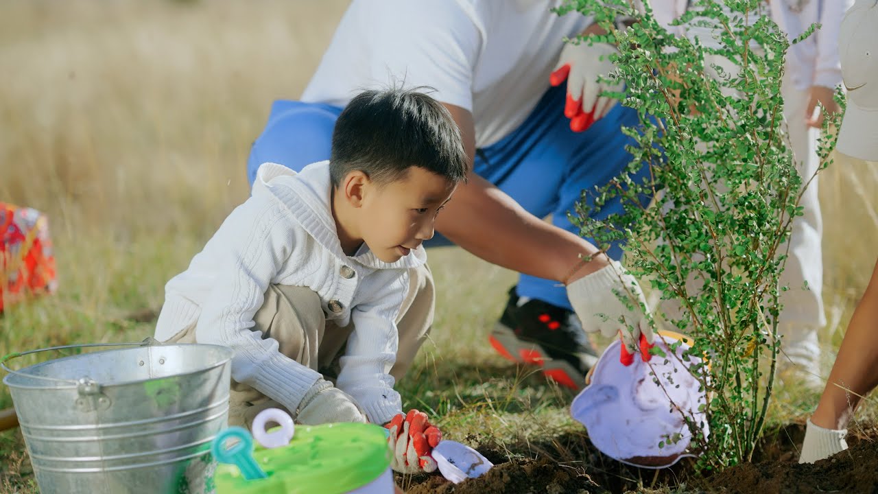 Бид мод тарьж байна - Тэрбум мод