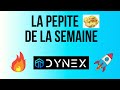 Dynex  dcouvrez une ppite crypto du moment  analyse complte et potentiel  dnx