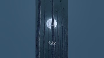 قال رب اشرح لي صدري | سورة طه | محمد ايوب 🤍 #قران_كريم #سورة_طه #محمد_ايوب #قرآن