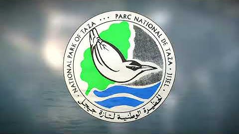 Marine biodiversity in Taza National Park, Algeria