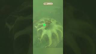 Cannot Believe This Timing! #Zelda #BOTW #shorts