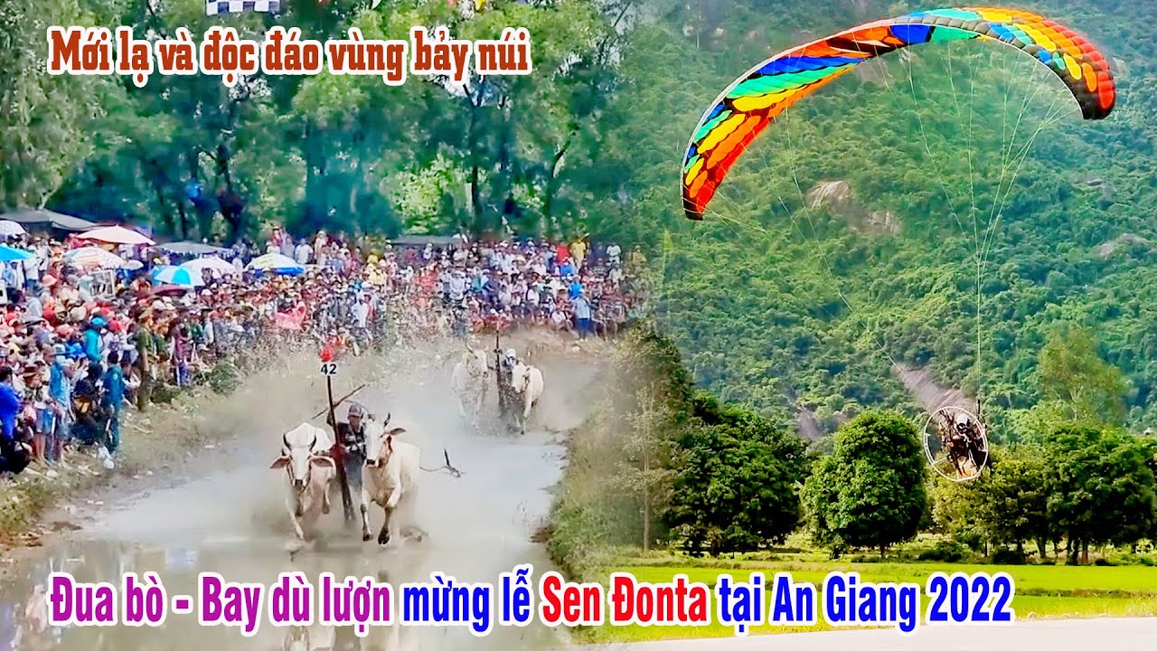 Bay dù lượn trong ngày lễ Sen Đonta tại Tri Tôn An Giang