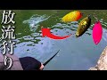 【これを見ればできる!!︎】放流で魚を連発する方法!【エリアトラウト 管理釣り場 管釣り】