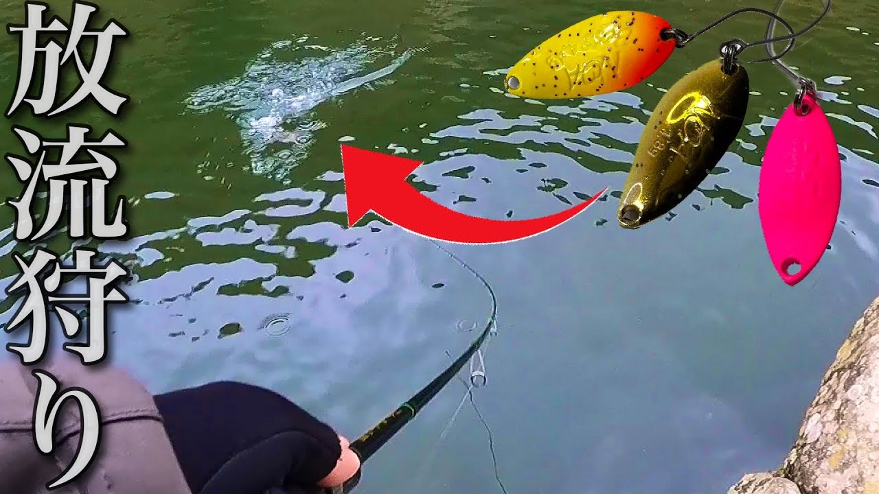 【これを見ればできる‼︎】放流で魚を連発する方法！【エリアトラウト　管理釣り場　管釣り】