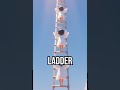 Ladder to the Stars #biblicalwisdom