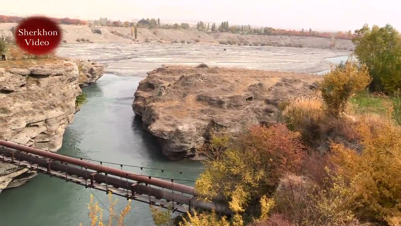 ТИРАМОҲИ ЗАРРИН Ҷ Д Ёри 2021