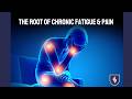 The Root Of Chronic Fatigue Pain