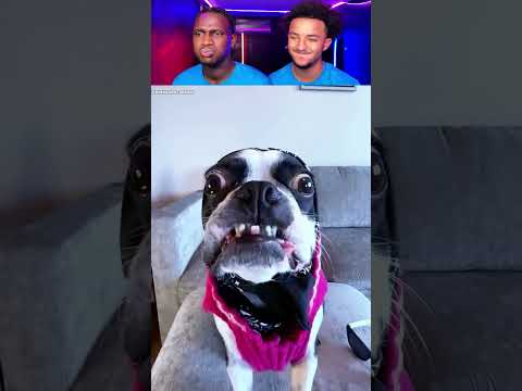 PART 582 | 😂TU RIGOLES😂 , TU RECOMMENCE ...🔄 LA FIN ...😲💦#funny #reaction #trynottolaugh