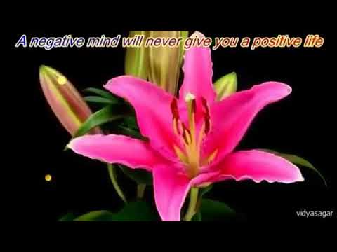 Good Morning Have A Nice Day Om Shanti By Godly Shivam University