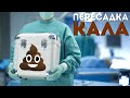 Что такое пересадка кала? | Трансплантация фекальной микробиоты