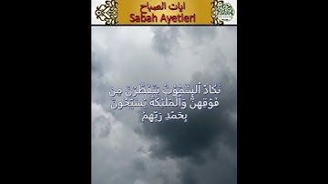 Surah Ash-Shura  سوره الشورى      #nuralsalam#mehmet #المصحف  #القارئ #اكسبلور
