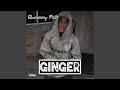 Ginger sped up version