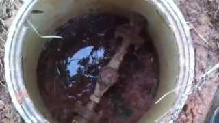 Plumbing Emergency job: Water Main Break-#2.2