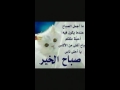 صباحووووو قطة مالي تريد صبح عليكم صباح الخير