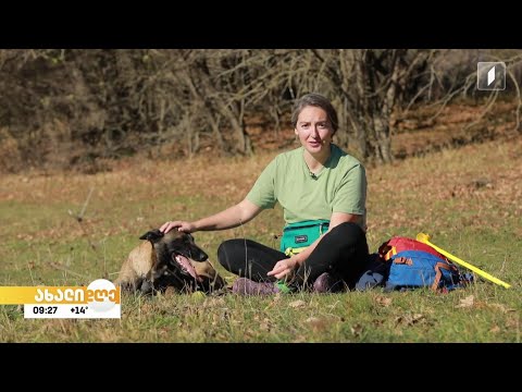 #ახალიდღე რუბრიკა „აკის პარკი“ - ნუცას და მისი ერთგული მეგობრის, ჟოლოს მოგზაურობის ისტორიები