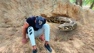 Anaconda Snake in Real Life Video 2