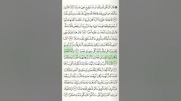 الجزء ١٦ ، الحزب ٣١ ، سورة الكهف ، الصفحة ٣٠٢