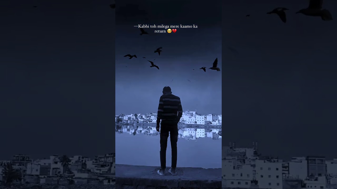 no grow followers instagram 