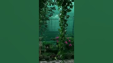 Good Night Whatsapp Status | Rainy Season Whatsapp Status | Good Night Status #shorts #youtubeshorts