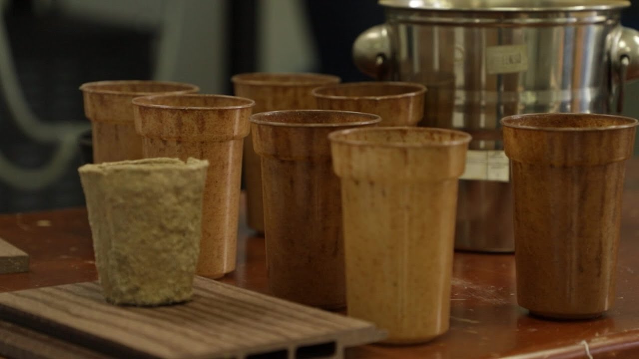 Patentan vaso biodegradable con residuos de café - Teleantioquia Noticias