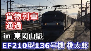 EF210型136号機 桃太郎 コンテナ貨物 東岡山駅を通過する 2019/04/27
