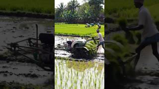 India smart farming | smart Technology farming || #farming #shorts