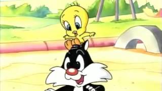 044 Paws And Feathers Song 10Youtube Com