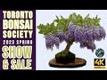 Toronto bonsai society spring 2023 show and sale