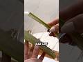 El pre-shampoo de sábila y azúcar, económico y Transforma tu Cabello 🌱  🩷  #haircare #hair #belleza