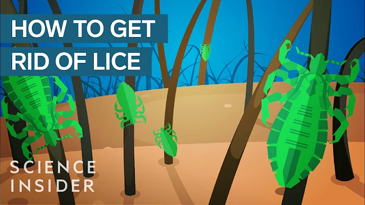 How did ancient humans get rid of lice? (2023)