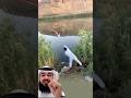 شاهد ماذا يحدث عند وضع هذه المادة في الماء اكسبلور   