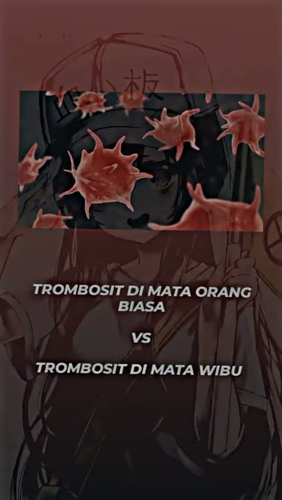 loli gw #loli #trombosit #versi #wibu #anime #fyp